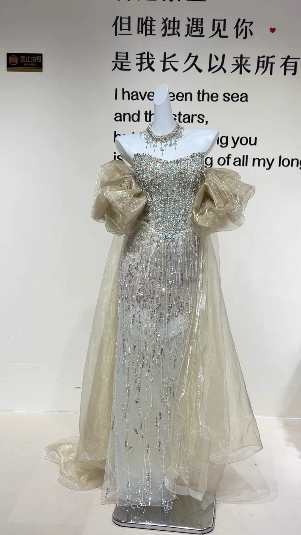 TwinkleGowns SL213 Silver Crystal Beaded Off-Shoulder Evening Gown with Sheer Train