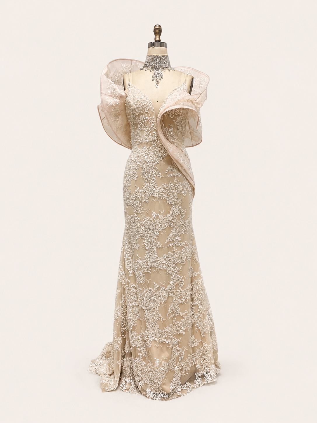 Blush Pink Embroidered Evening Gown with Organza Shoulders SL190