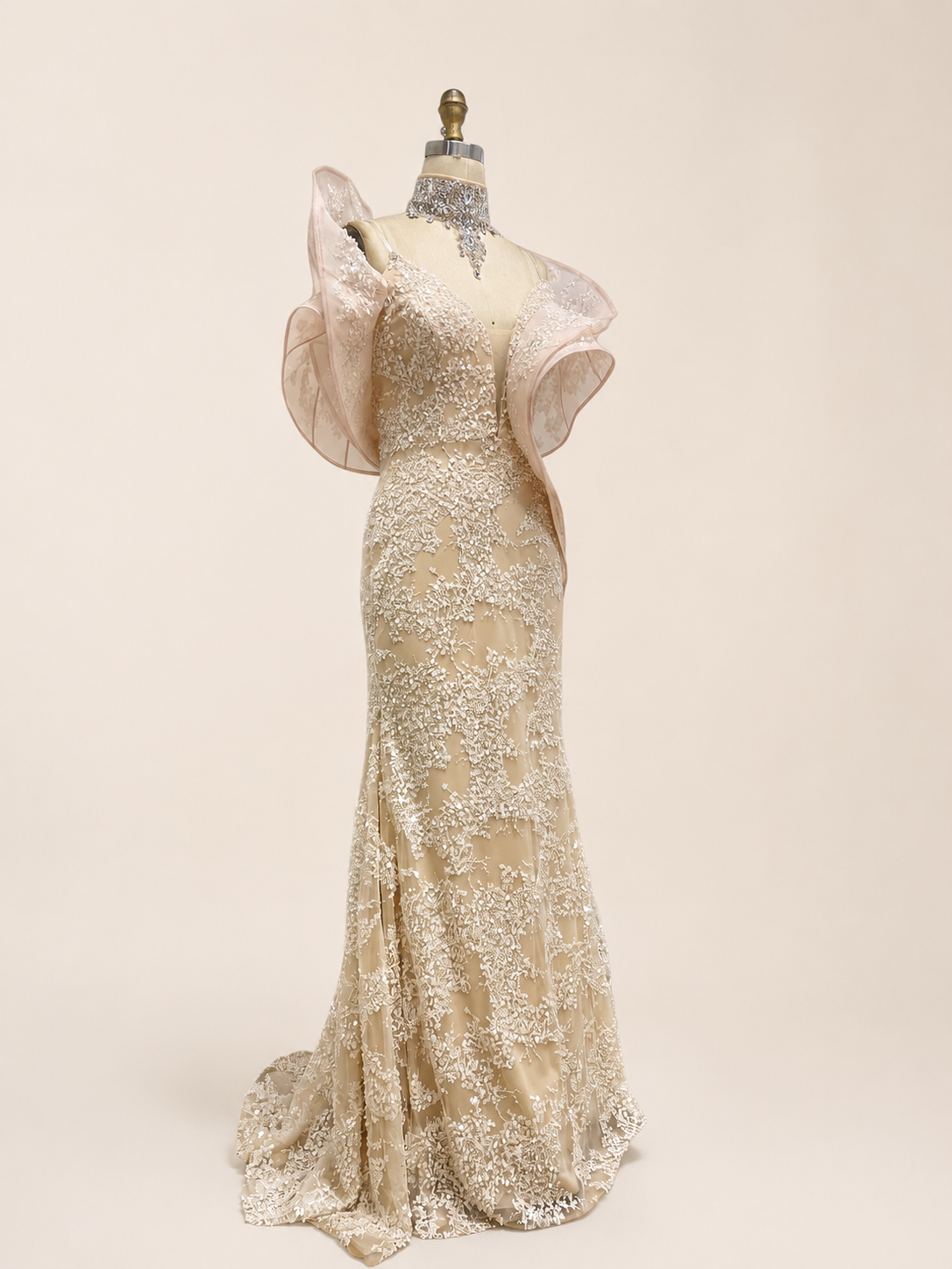 Blush Pink Embroidered Evening Gown with Organza Shoulders SL190