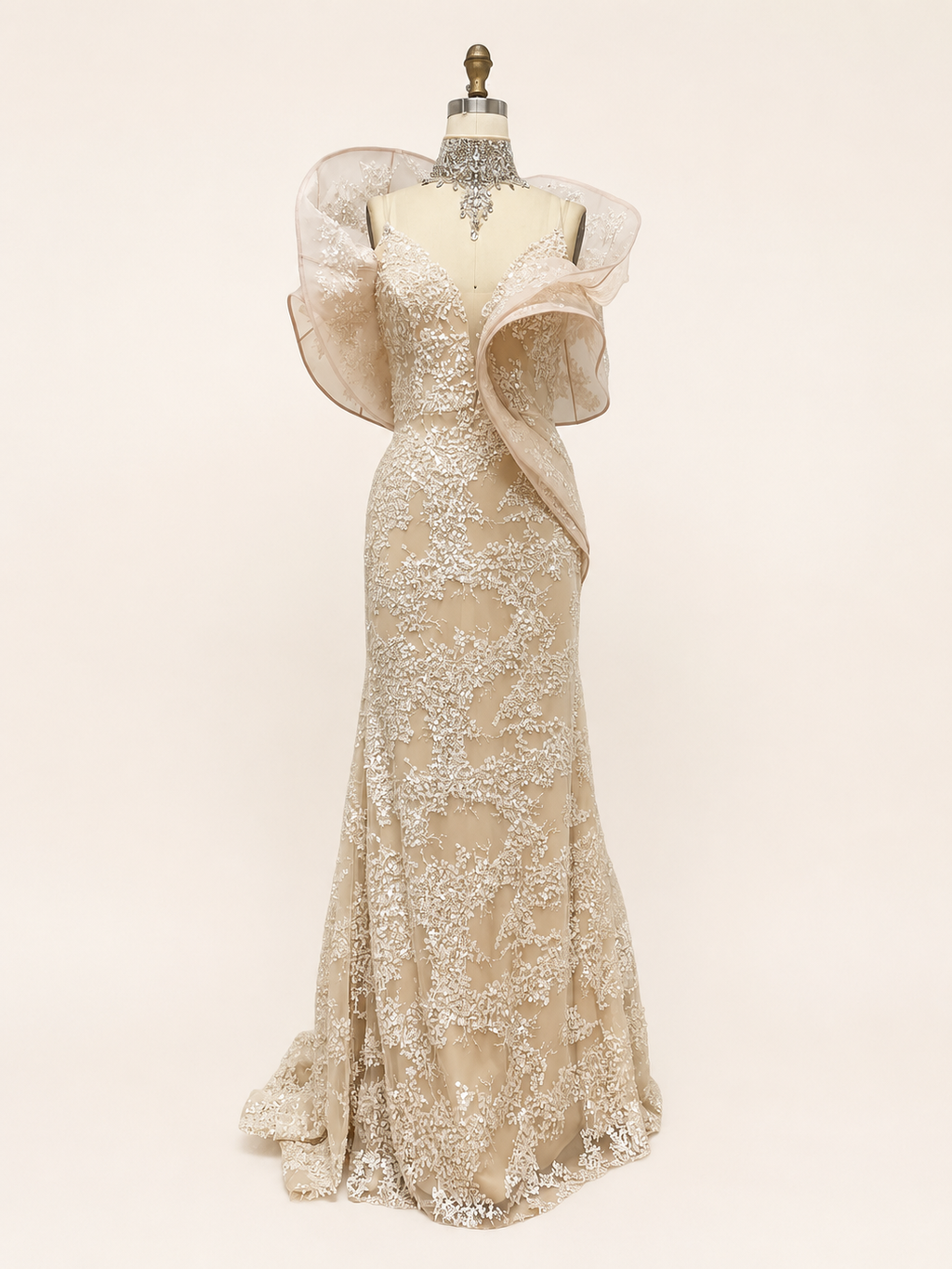 Blush Pink Embroidered Evening Gown with Organza Shoulders SL190